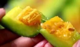 网红瓜去哪吃比较好,揭秘瓜界美食新宠